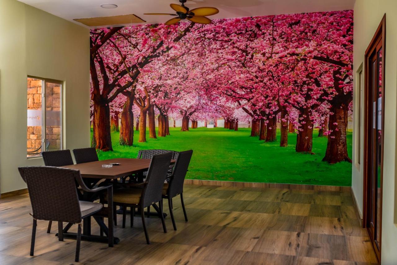 Durazno Inn Nuevo Casas Grandes Dış mekan fotoğraf